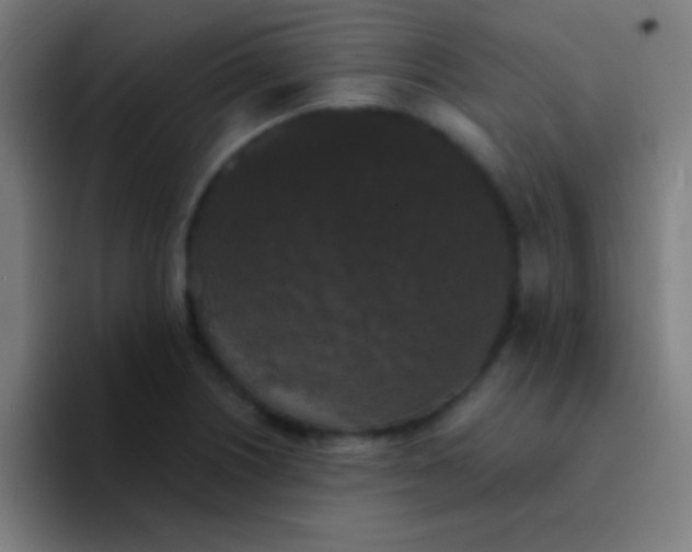 X0000094351226200711162023