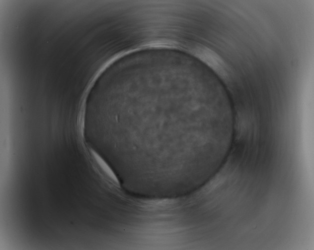 X0000094351228200711162023