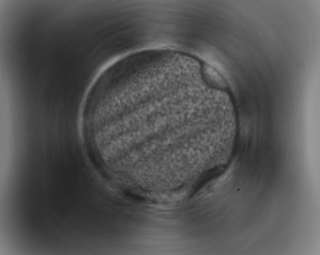 X0000094351230200711162023