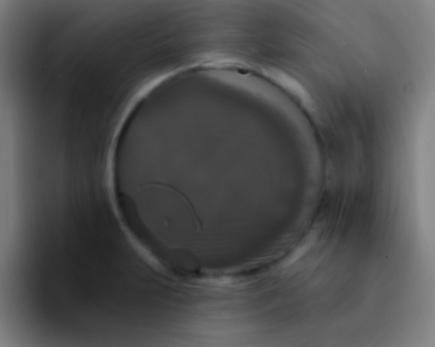 X0000094351231200711162023