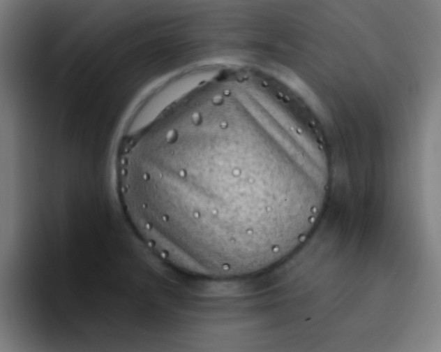 X0000094351232200711162023