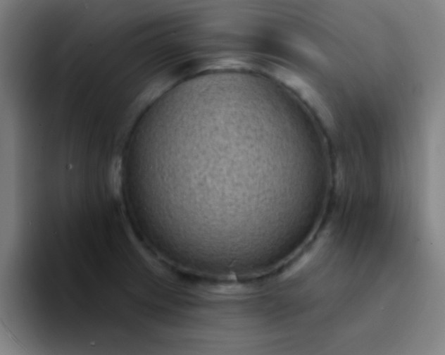 X0000094351233200711162023