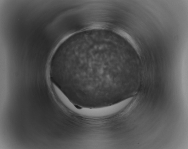 X0000094351235200711162023