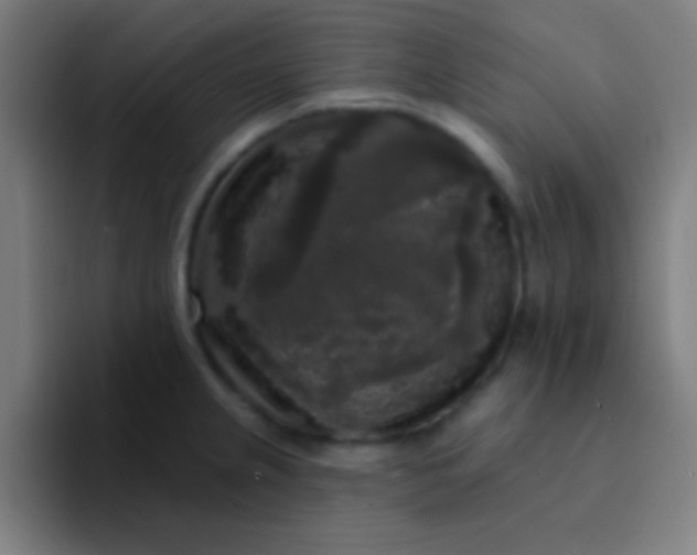 X0000094351237200711162023