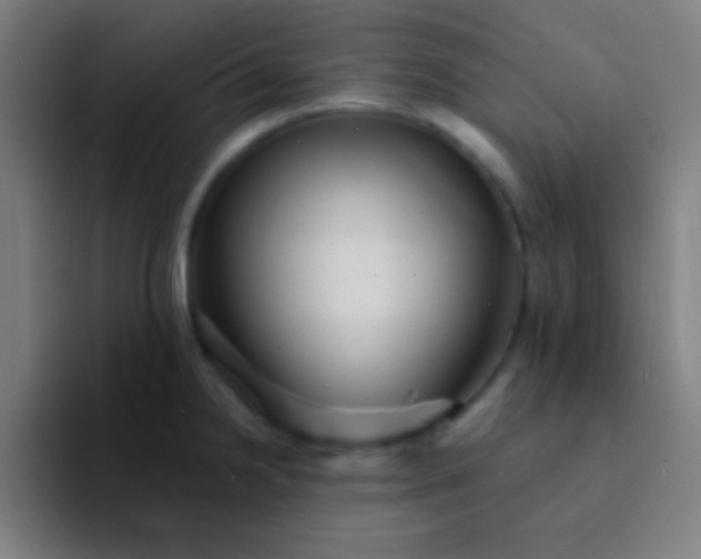 X0000094351238200711162023