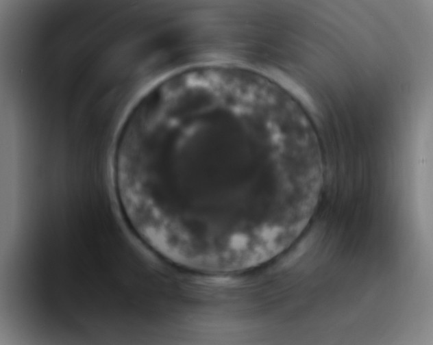 X0000094351239200711162023