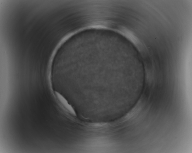 X0000094351240200711162023