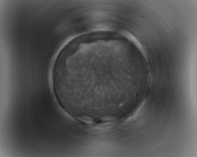 X0000094351243200711162023