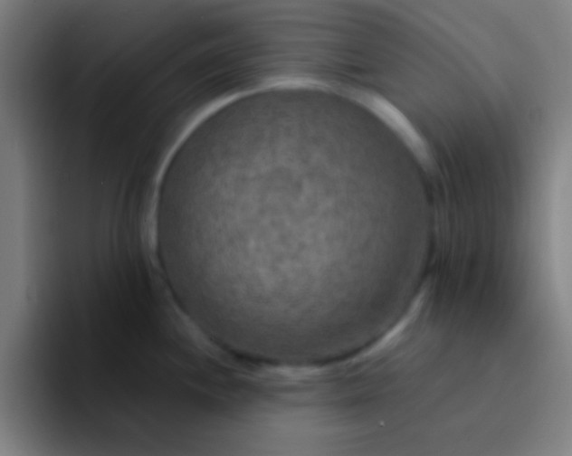 X0000094351244200711162023