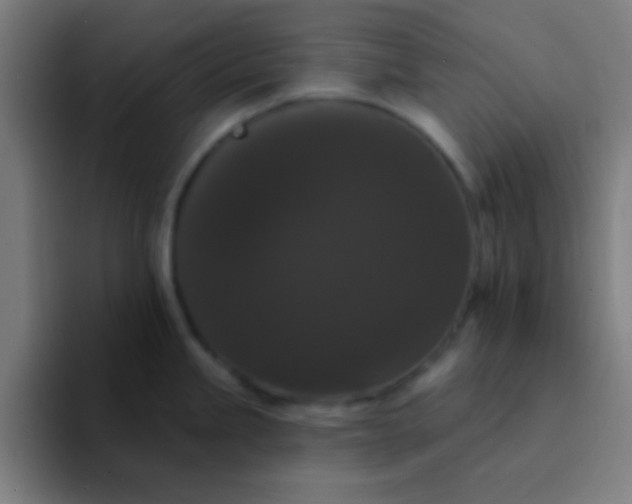 X0000094351245200711162023