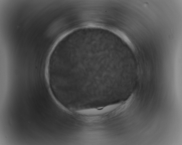 X0000094351247200711162023