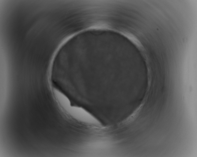 X0000094351248200711162023