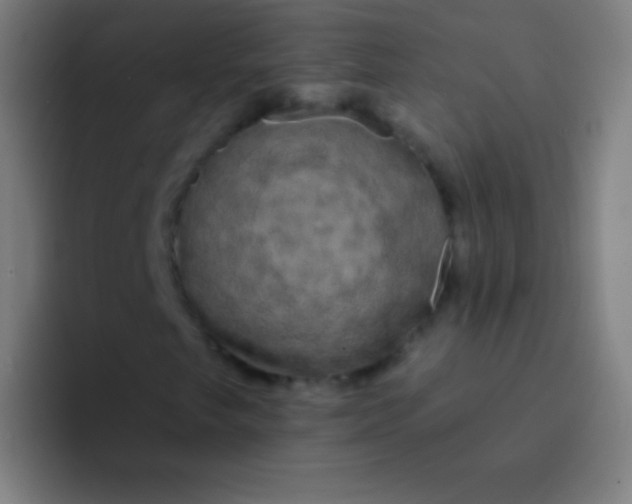 X0000094351249200711162023