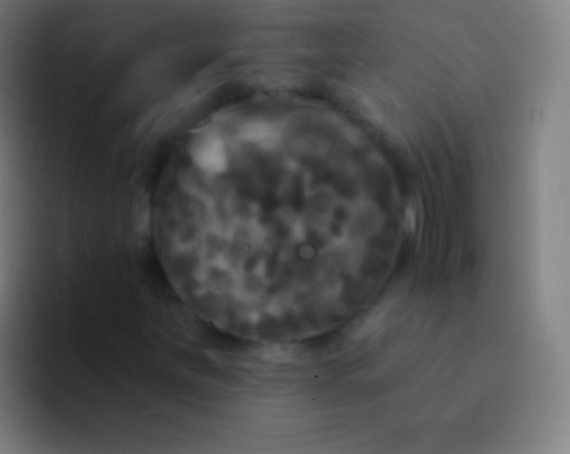 X0000094351251200711162023