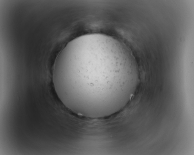 X0000094351253200711162023