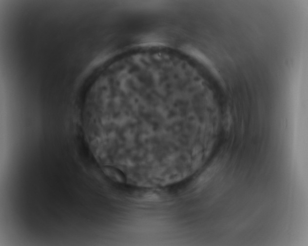 X0000094351255200711162023