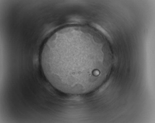 X0000094351259200711162023