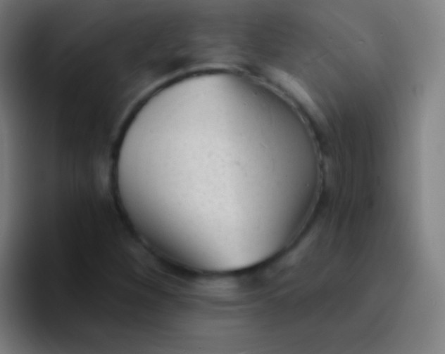 X0000094351260200711162023