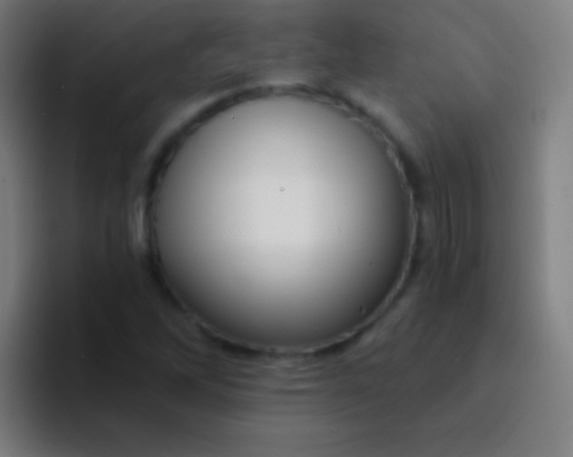 X0000094351262200711162023