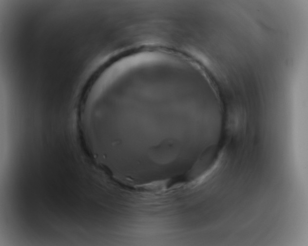 X0000094351263200711162023