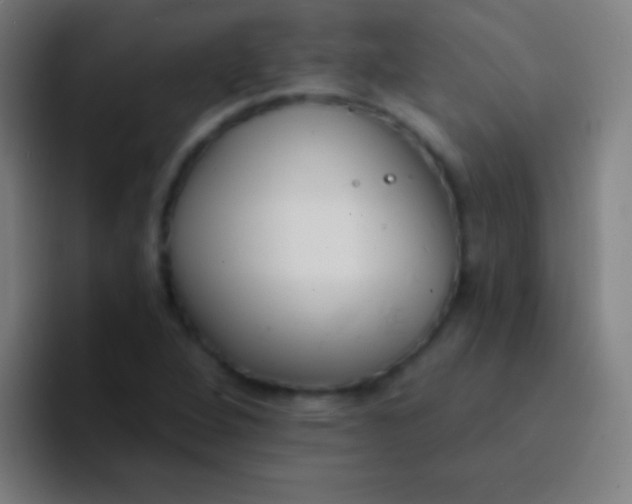 X0000094351264200711162023