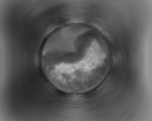 X0000094351266200711162023