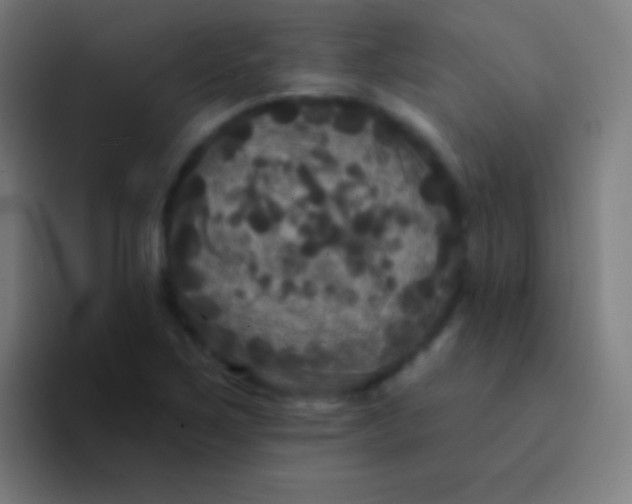 X0000094351267200711162023