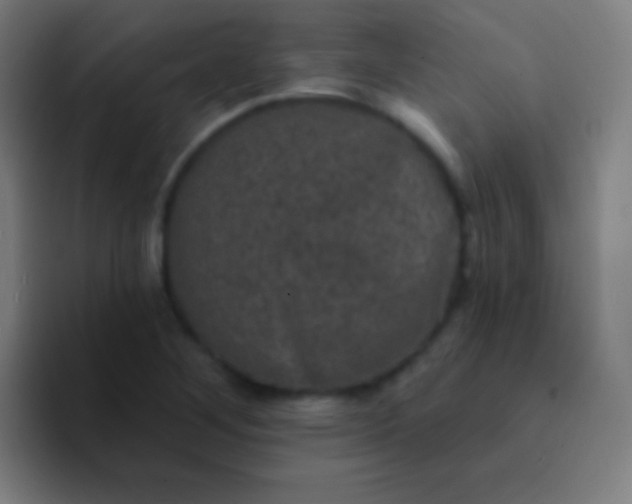 X0000094351268200711162023