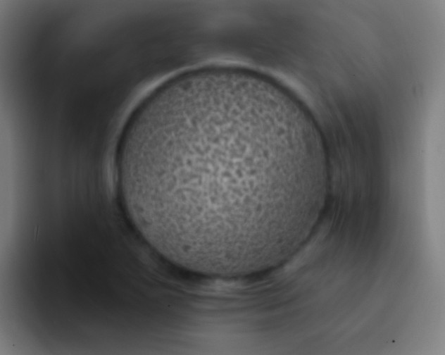 X0000094351271200711162023