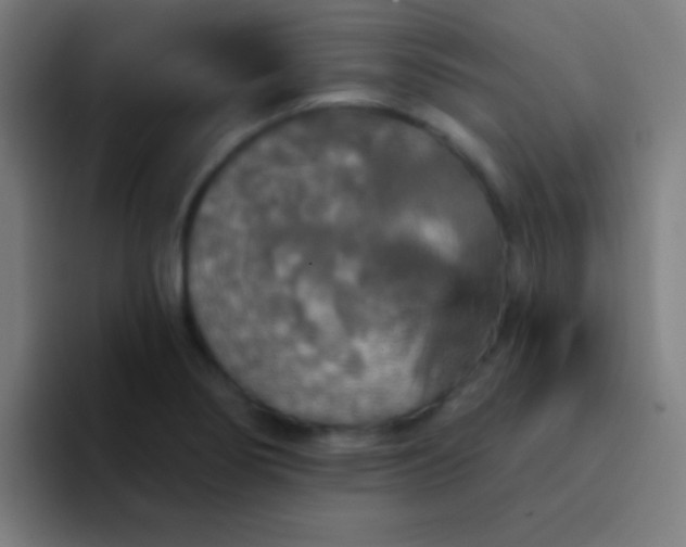 X0000094351274200711162022