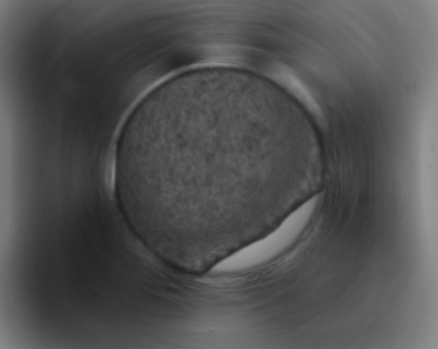 X0000094351276200711162022