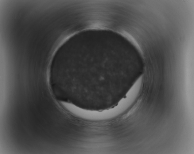 X0000094351277200711162022