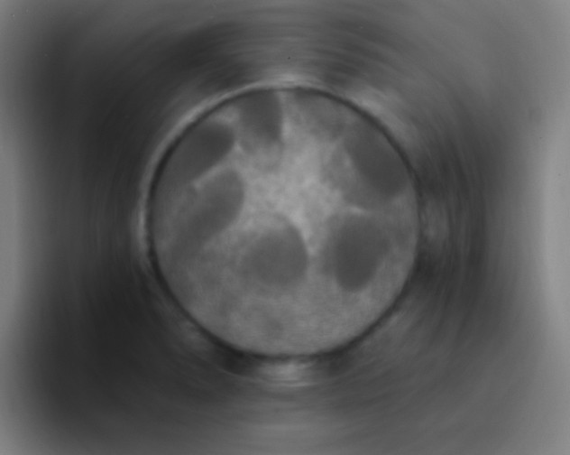 X0000094351278200711162022