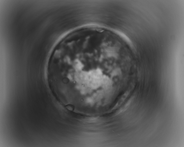 X0000094351279200711162022