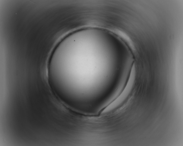 X0000094351280200711162022