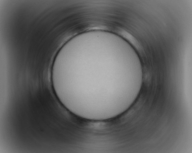 X0000094351282200711162022