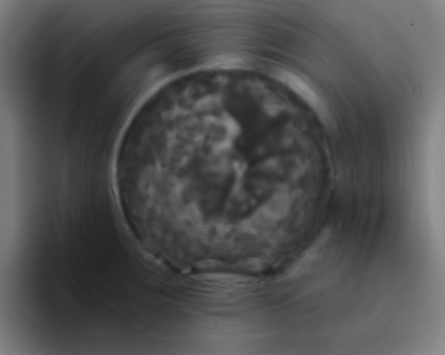 X0000094351283200711162022