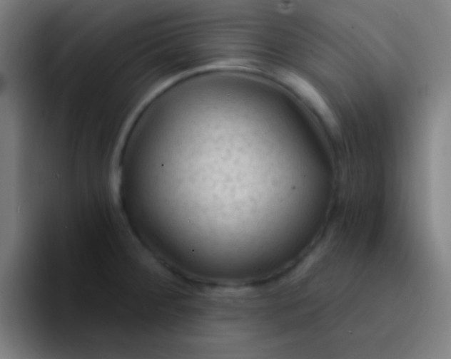 X0000094351284200711162022