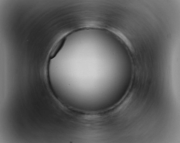 X0000094351285200711162022