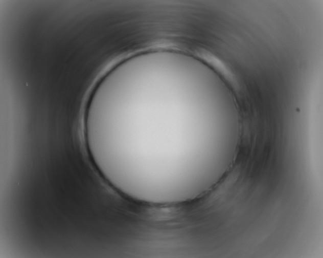 X0000094351286200711162022