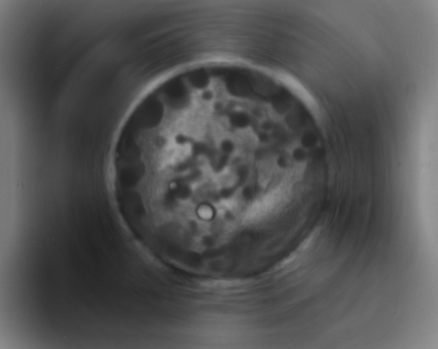 X0000094351287200711162022