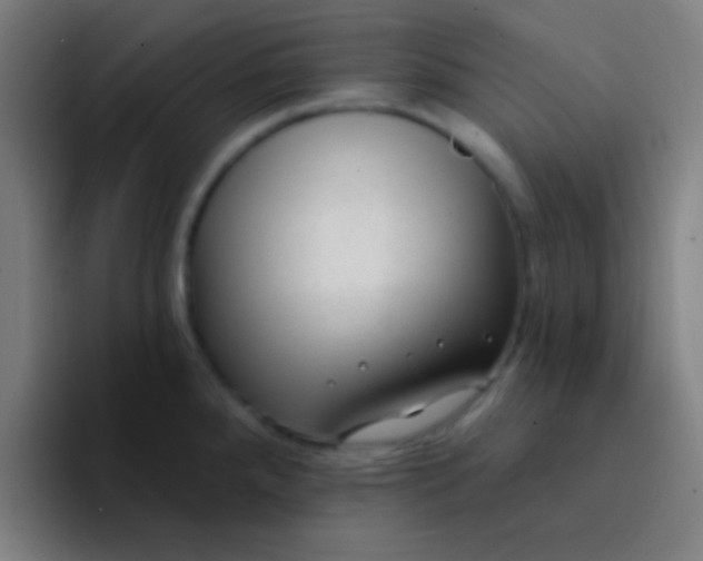 X0000094351288200711162022