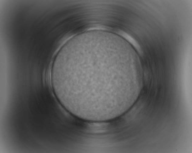 X0000094351290200711162022