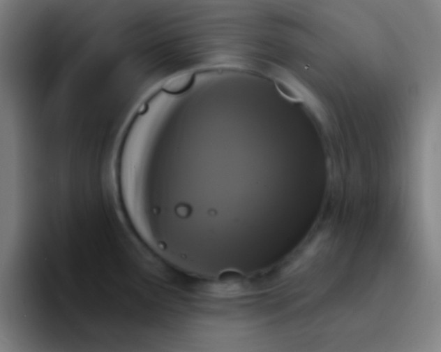 X0000094351291200711162022