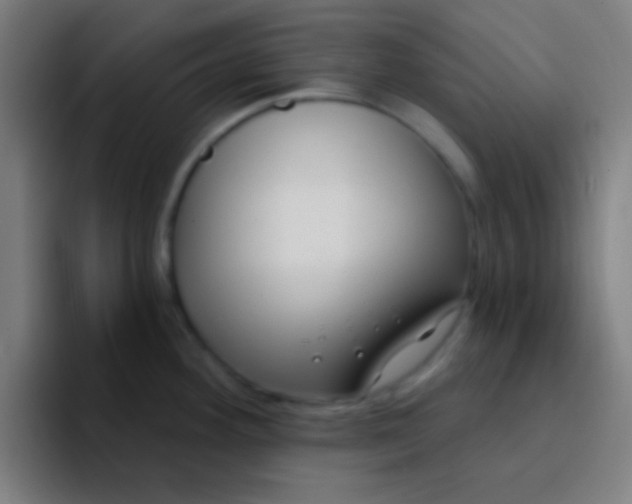 X0000094351292200711162022