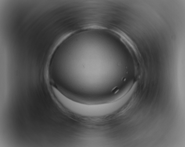 X0000094351293200711162022