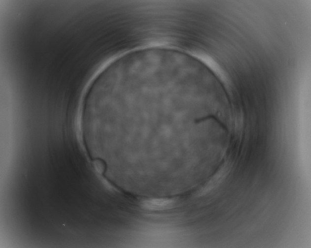 X0000094351294200711162022