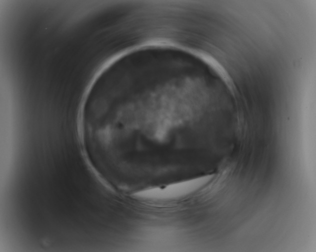 X0000094351295200711162022