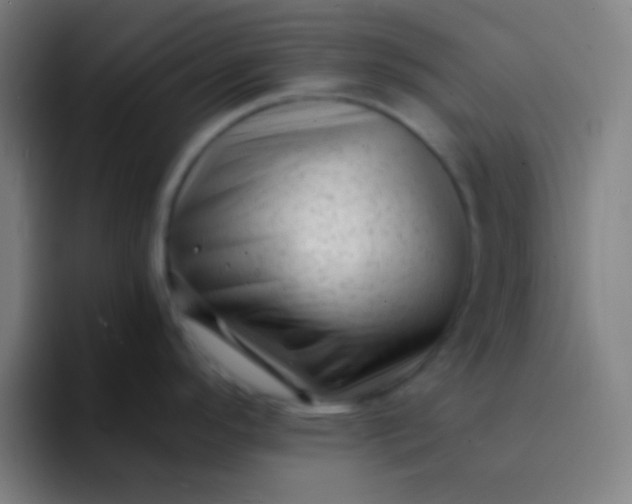 X0000094351296200711162022