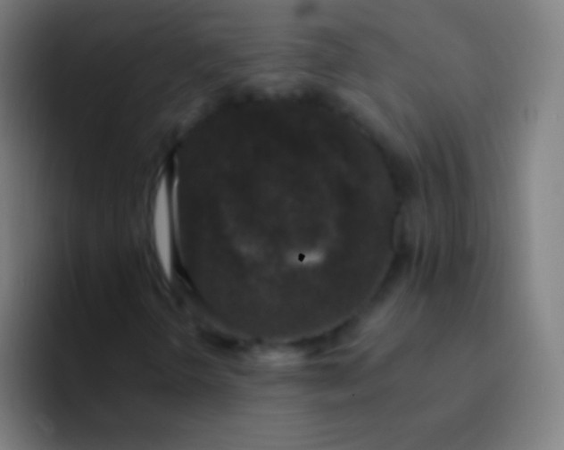 X0000094351298200711162022